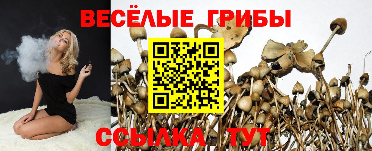 Ковров  Галлюциногенные грибы GOLDEN TEACHER  Вход с VPN 